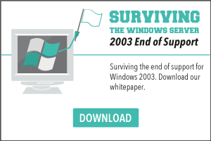 Surviving the Windows Server 2003 end of support Whitepaper
